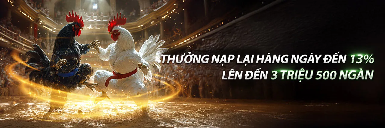 Đá Gà Trực Tuyến tt3979ae - Các trận đấu đá gà kịch tính